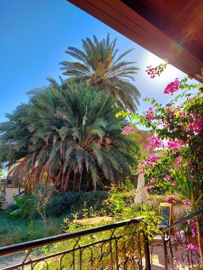Golden Palms Guest House & Cafe 法马古斯塔 外观 照片