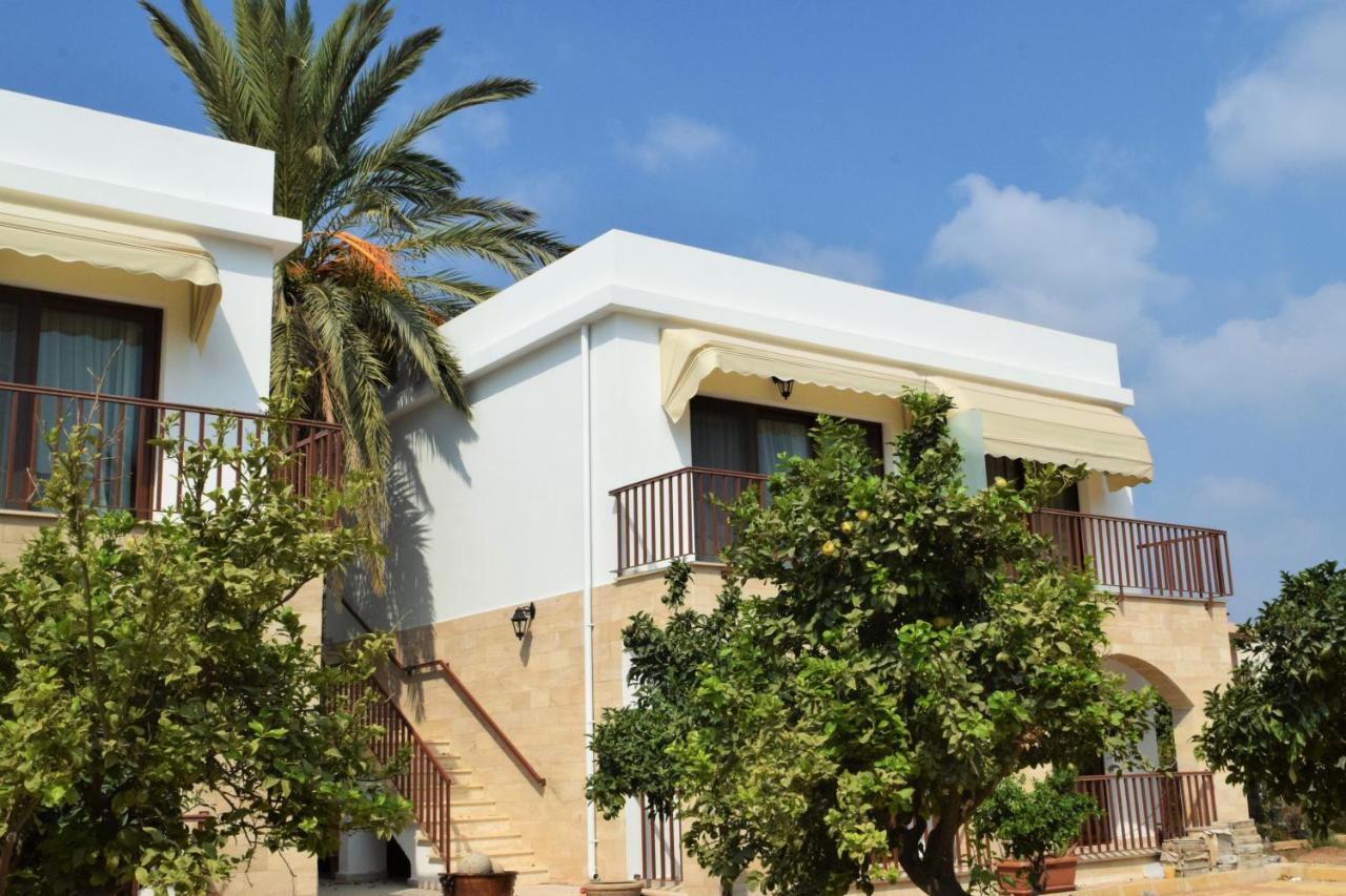Golden Palms Guest House & Cafe 法马古斯塔 外观 照片